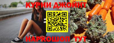 сатива Гатчина