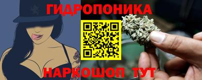 бошки Волгодонск
