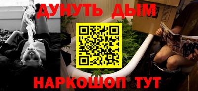 сатива Гатчина