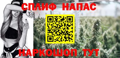 сатива Гатчина
